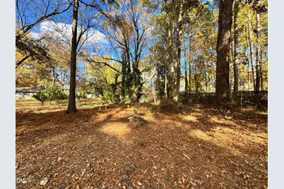 109 Forest Green Drive, Cary, NC 27511 - Photo 12