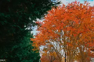 9331 Falkwood Rd, Raleigh, NC 27617 - Photo 6