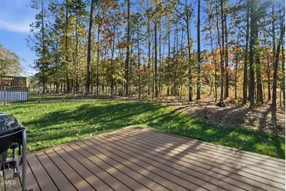 2699 Needle Pine Drive, Apex, NC 27539 - Photo 66