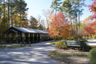 123 Wintermist Dr, Cary, NC 27513 - Photo 30