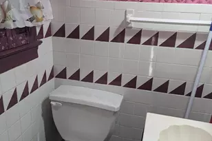 821 W Sycamore St, Chase City, VA 23924 - Photo 12