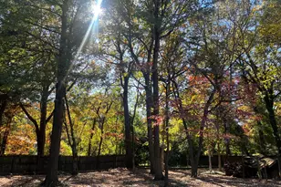 3517 Morningside Dr, Raleigh, NC 27607 - Photo 14