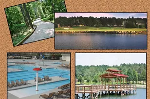 1317 Plunket Dr, Wake Forest, NC 27587 - Photo 56