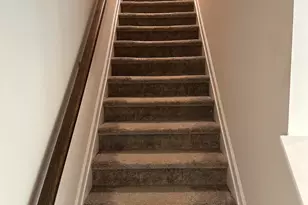 3414 Dropseed Dr, Apex, NC 27502 - Photo 16