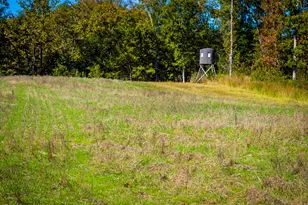 785 Glennie Irvin Rd, Semora, NC 27343 - Photo 86