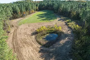 785 Glennie Irvin Rd, Semora, NC 27343 - Photo 92