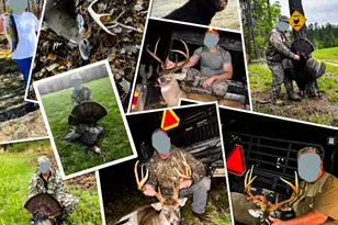 785 Glennie Irvin Rd, Semora, NC 27343 - Photo 80