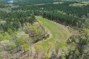 785 Glennie Irvin Rd, Semora, NC 27343 - Photo 84