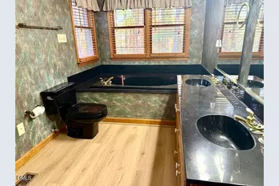 80 White Deer Lane, Henderson, NC 27537 - Photo 30