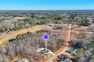 12874 Mallard Rock Dr, Zebulon, NC 27597 - Photo 52