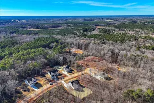 12874 Mallard Rock Dr, Zebulon, NC 27597 - Photo 66