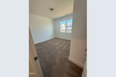 46 Cypress Moss Court, Lillington, NC 27546 - Photo 12