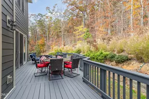 137 Lystra Grant Ct, Chapel Hill, NC 27517 - Photo 58