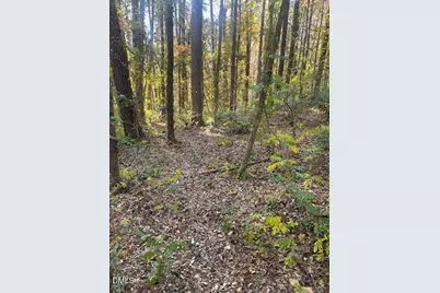 210 Anolis Lane, Pittsboro, NC 27312 - Photo 4