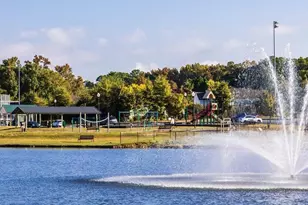 250 Blue Butterfly Dr, Angier, NC 27501 - Photo 30