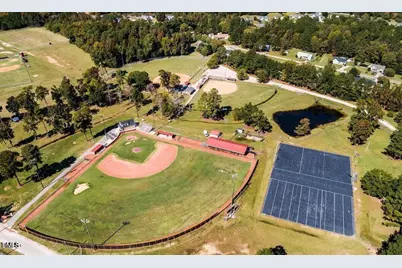 250 Blue Butterfly Drive, Angier, NC 27501 - Photo 34