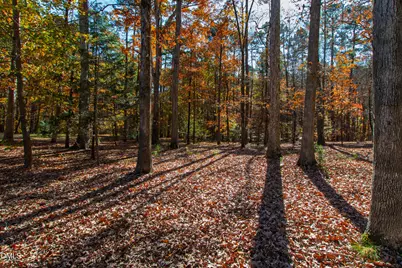 108 Chimeneas Place, Chapel Hill, NC 27517 - Photo 62