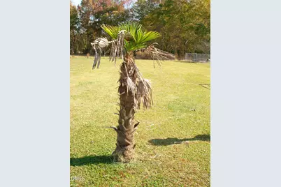 235 Iris Bryant Road, Erwin, NC 28339 - Photo 70