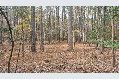 5209 Ginger Trail, Raleigh, NC 27614 - Photo 4