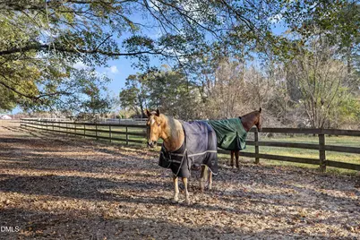 6220 Standing Oak Lane, Raleigh, NC 27603 - Photo 34