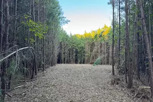 586 Poythress Rd, Chapel Hill, NC 27516 - Photo 18