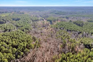 2694 Olmstead Rd, Creedmoor, NC 27522 - Photo 44