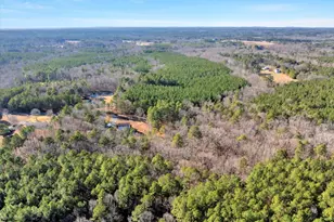 2694 Olmstead Rd, Creedmoor, NC 27522 - Photo 52