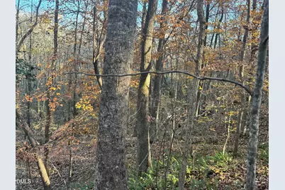 1715 Fire Depart Road, Clayton, NC 27527 - Photo 6