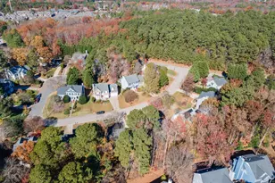 102 Rose Valley Woods Dr, Cary, NC 27513 - Photo 58