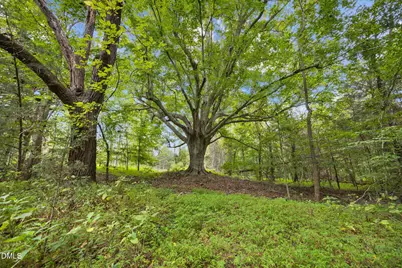 Lot D Wolf Tree Way, Efland, NC 27243 - Photo 8