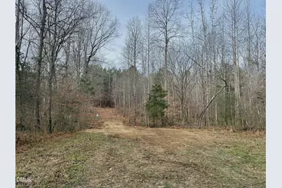 Lot D Wolf Tree Way, Efland, NC 27243 - Photo 12