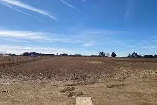 5495 Finch Rd, Bailey, NC 27807 - Photo 4