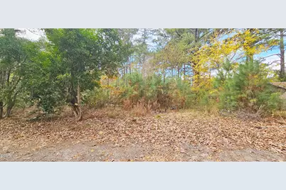 6026 Colonial Drive, Raleigh, NC 27603 - Photo 6