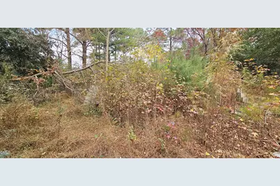 6026 Colonial Drive, Raleigh, NC 27603 - Photo 10