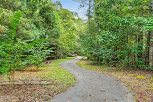 141 Spring Pine Ln, Holly Springs, NC 27540 - Photo 26