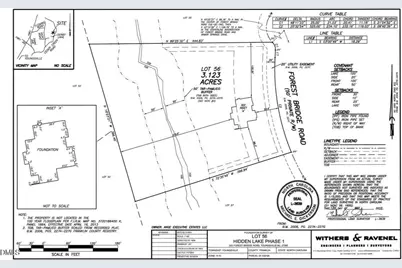 325 Forest Bridge Road, Youngsville, NC 27596 - Photo 74