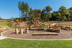 17 Plenty Ct, Pittsboro, NC 27312 - Photo 44