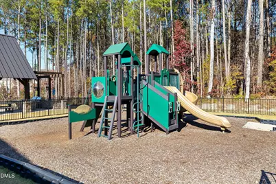 2581 Vining Branch Way, Apex, NC 27523 - Photo 62