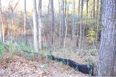 810 SW Maynard Road, Cary, NC 27511 - Photo 4