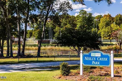 242 Blue Butterfly Drive, Angier, NC 27501 - Photo 32