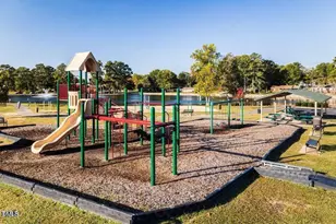 242 Blue Butterfly Dr, Angier, NC 27501 - Photo 36