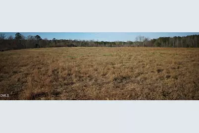 111 Old Wagon Lane, Sanford, NC 27332 - Photo 10