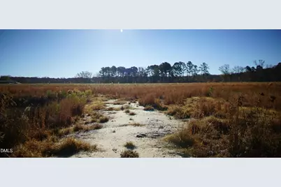 111 Old Wagon Lane, Sanford, NC 27332 - Photo 2