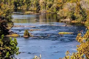 258 Blue Butterfly Dr, Angier, NC 27501 - Photo 36