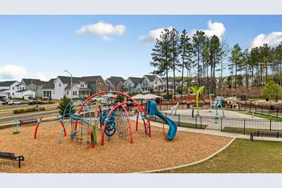 53 Circle City Way, Pittsboro, NC 27312 - Photo 56