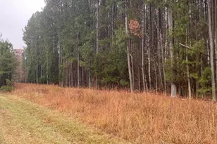 3350 Coley Rd, Durham, NC 27703 - Photo 1