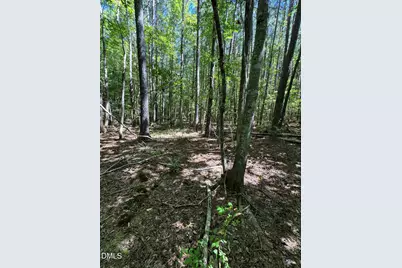 1820 Efland - Cedar Grove Road, Efland, NC 27243 - Photo 2