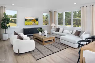 250 Thomas Store Dr, Broadway, NC 27505 - Photo 4