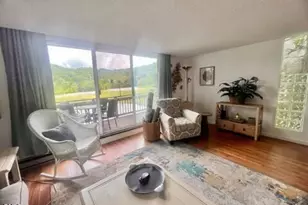 1040 Sugar Mountain Dr, Sugar Mountain, NC 28604 - Photo 8