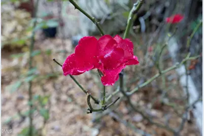 3113 Clark Avenue, Raleigh, NC 27607 - Photo 42